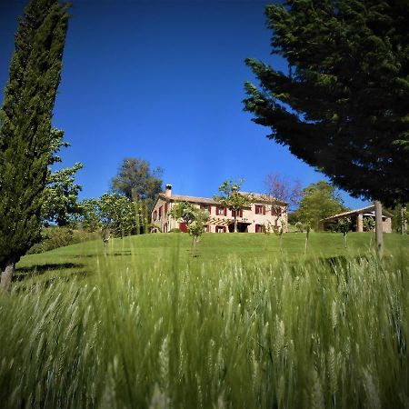 Quelli Del Picchio Bed & Breakfast Cupramontana Bagian luar foto