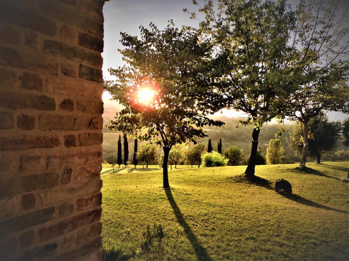 Quelli Del Picchio Bed & Breakfast Cupramontana Bagian luar foto