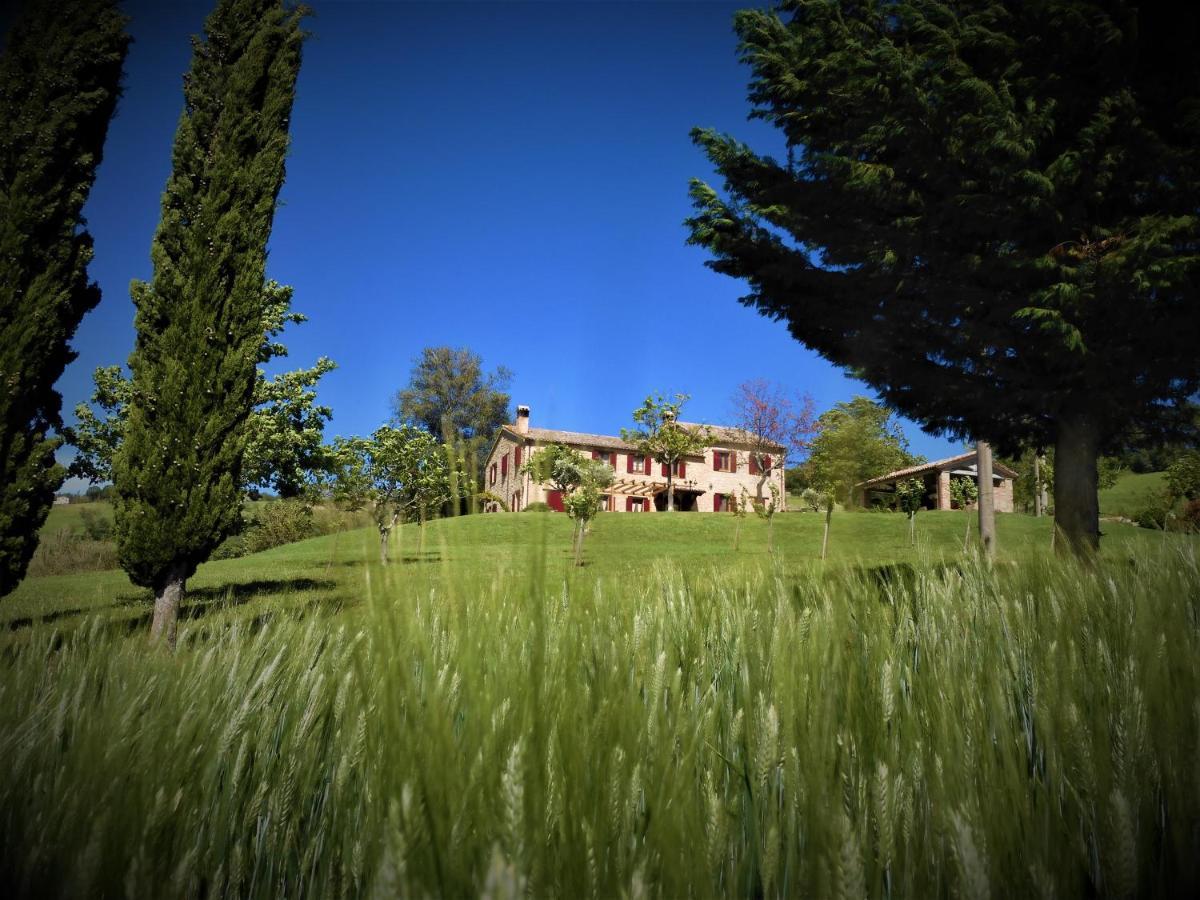 Quelli Del Picchio Bed & Breakfast Cupramontana Bagian luar foto