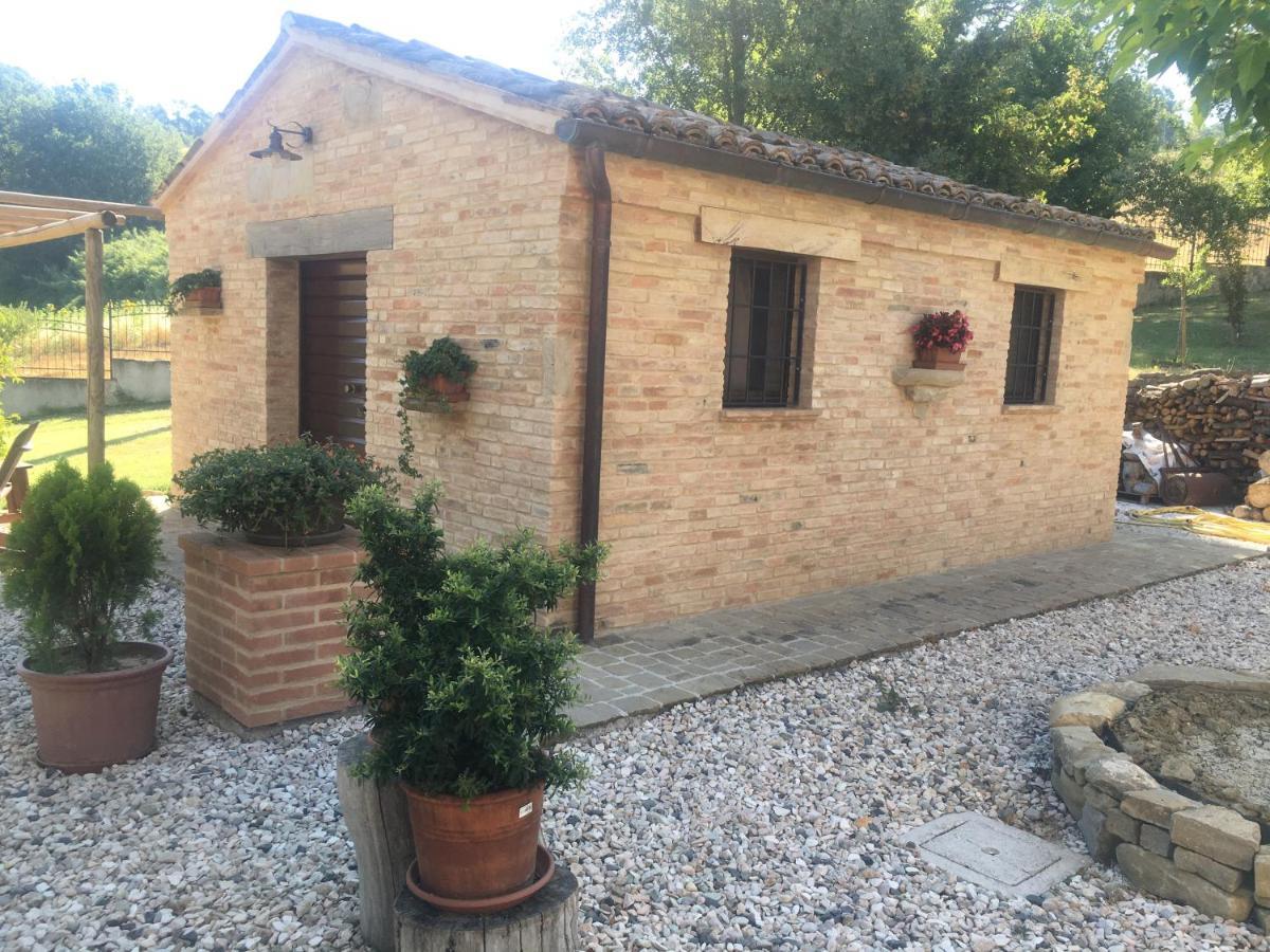 Quelli Del Picchio Bed & Breakfast Cupramontana Bagian luar foto