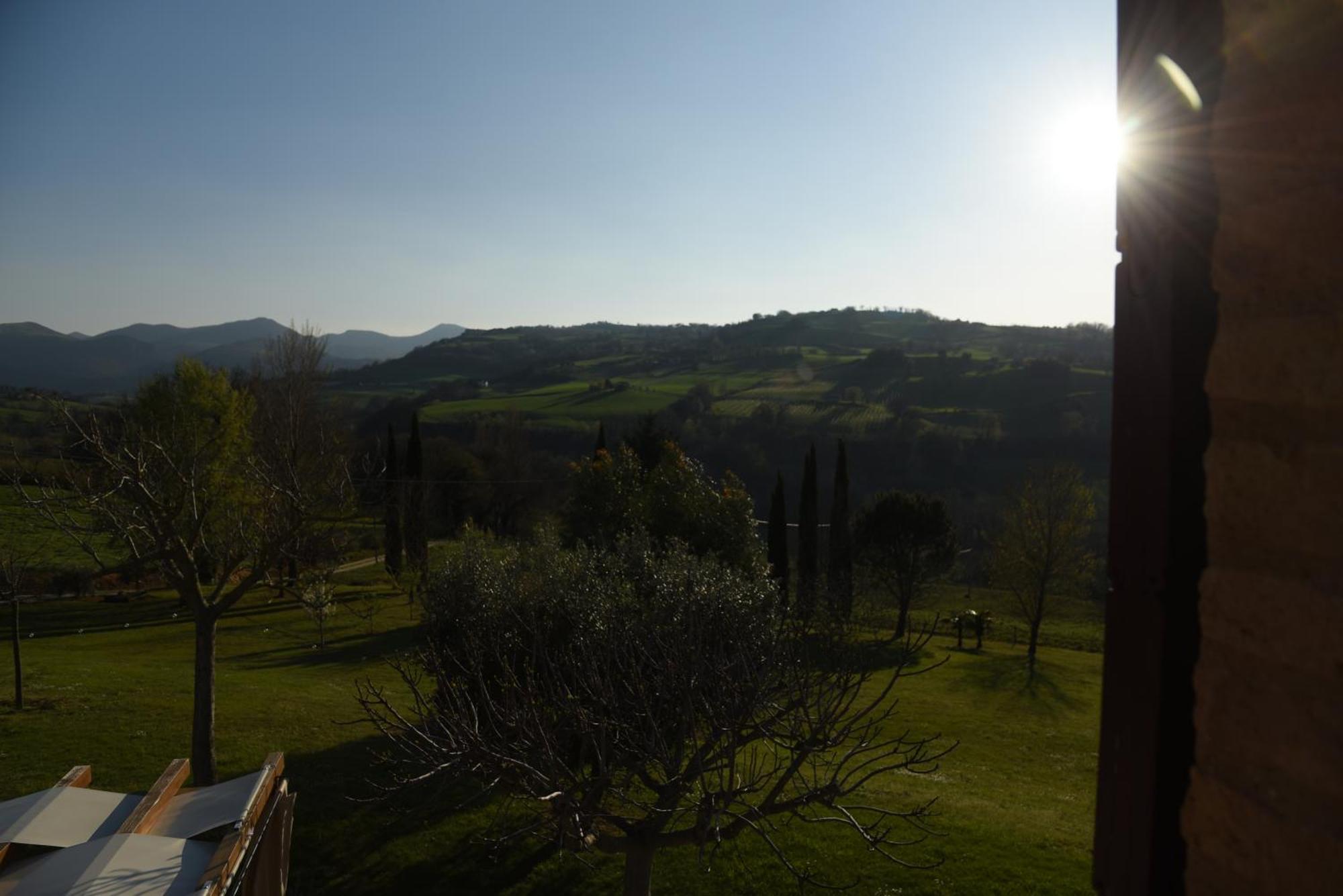 Quelli Del Picchio Bed & Breakfast Cupramontana Bagian luar foto