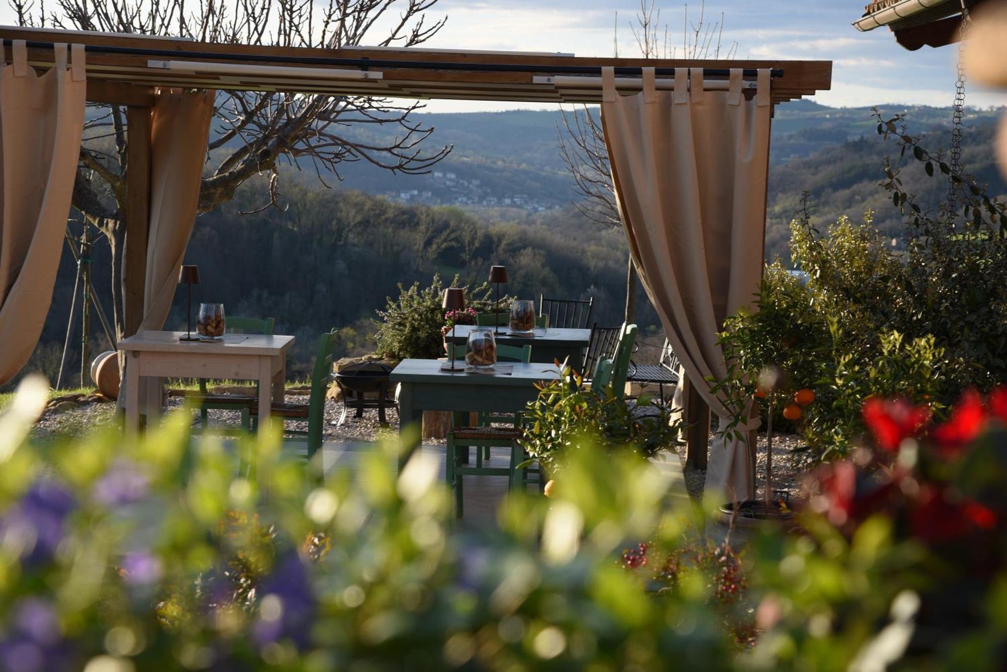 Quelli Del Picchio Bed & Breakfast Cupramontana Bagian luar foto